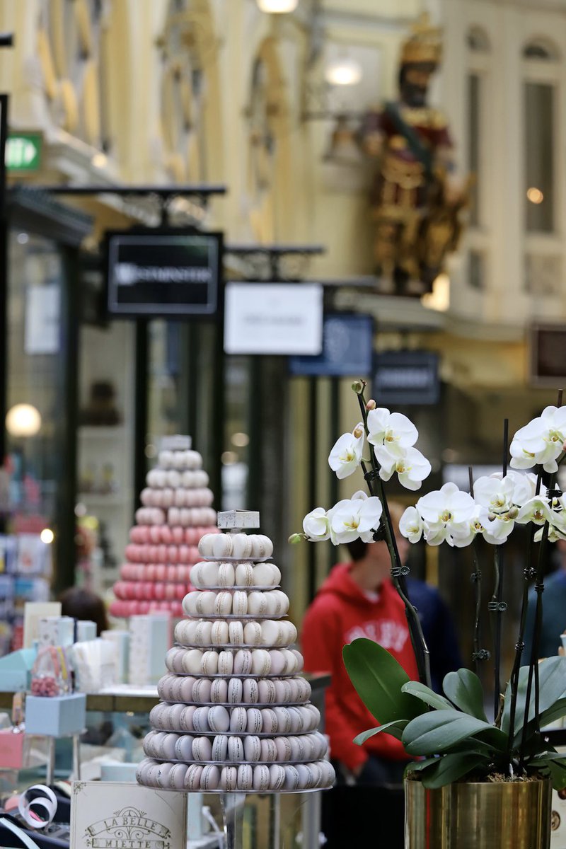 Day 7 ... The Royal Arcade - opened in 1870, it is the oldest surviving arcade in #Australia, known for its elegant light-filled interior, and the large carved mythic figures of Gog and Magog flanking the southern entry. #Melbourne