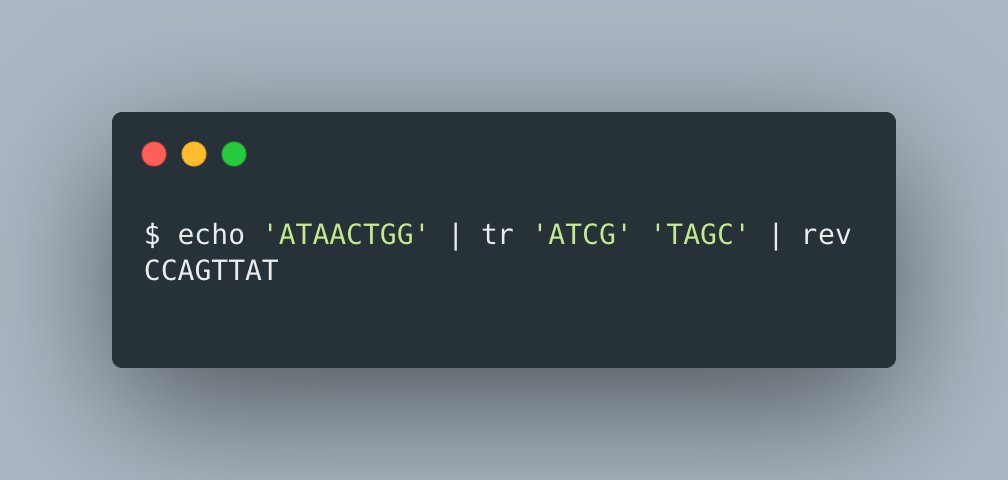 sinabooeshaghi's tweet image. The reverse complement of a sequence of nucleotides can be found on a terminal using the 'tr' and 'rev' bash commands  #openmethods #minimethods