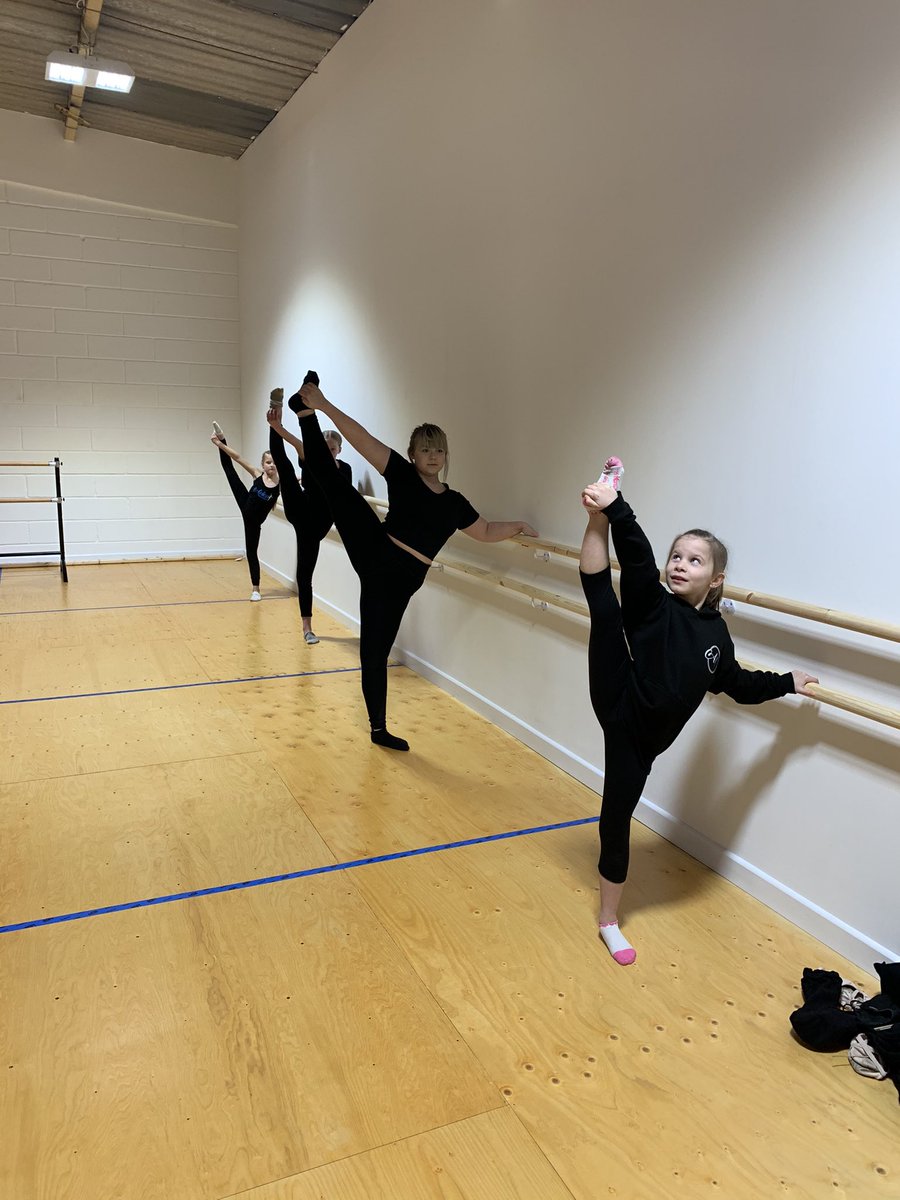 Avian Dance School tweet media