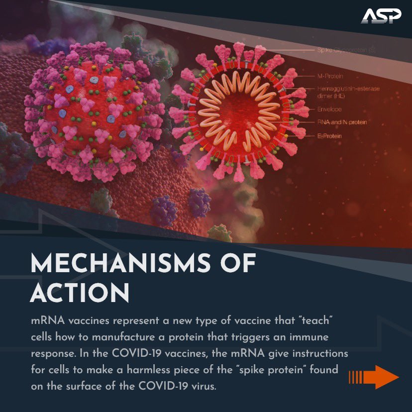 Learn more about the efficacy & mechanisms of action for each  #CovidVaccine expected to seek an emergency use authorization from the FDA 