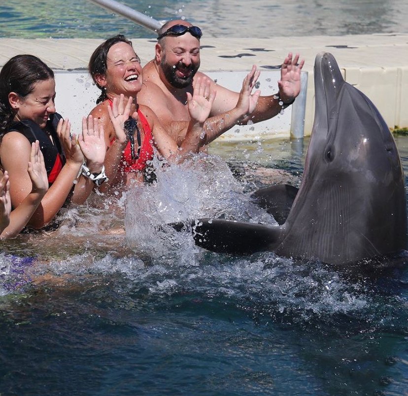 Splashes and smiles at Dolphin Quest Bermuda! We love seeing our guests react to meeting our amazing dolphins up-close. It's moments like this one that inspire a deeper connection with nature and to marine mammal conservation.

#DolphinQuest