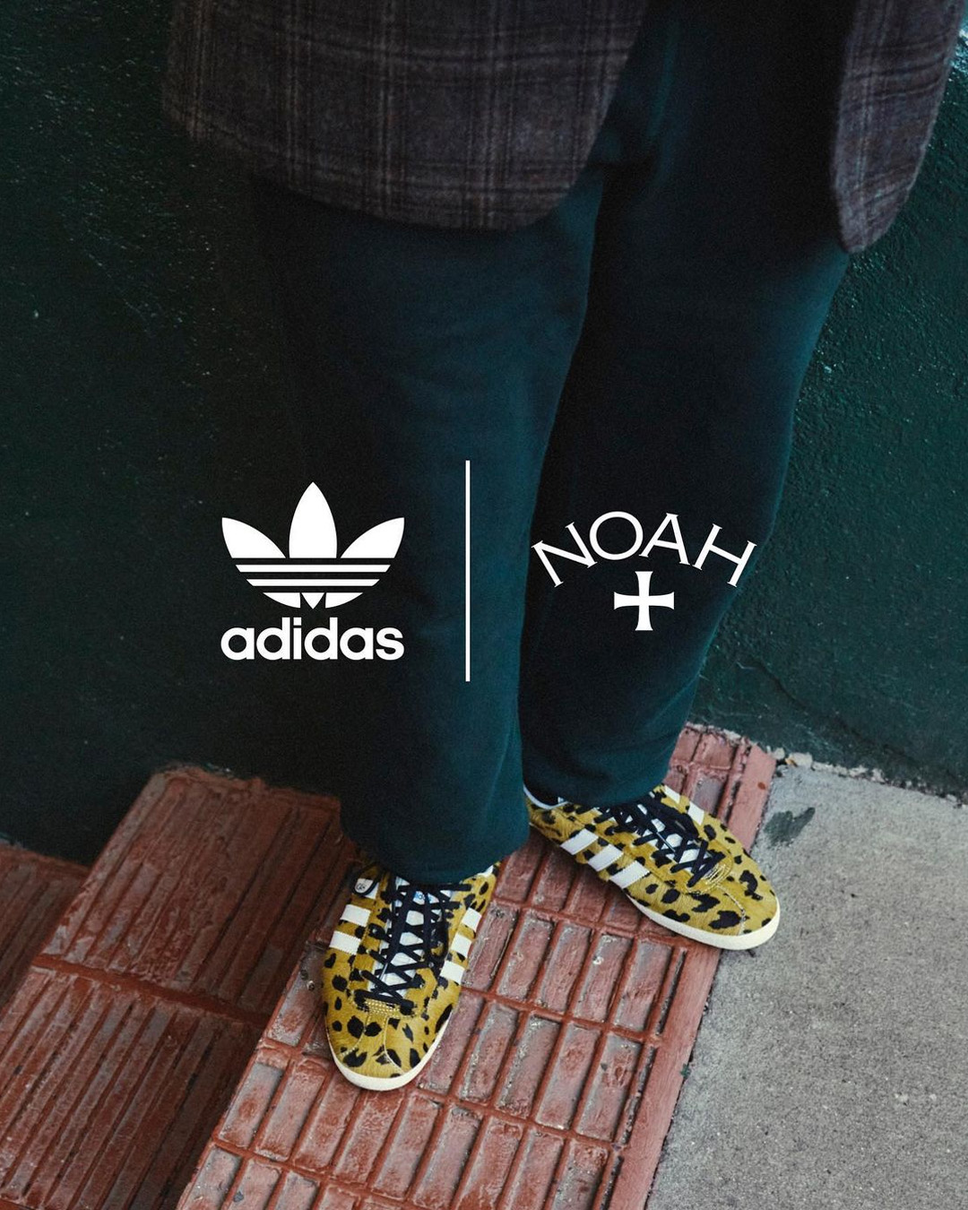 noah adidas gazelle