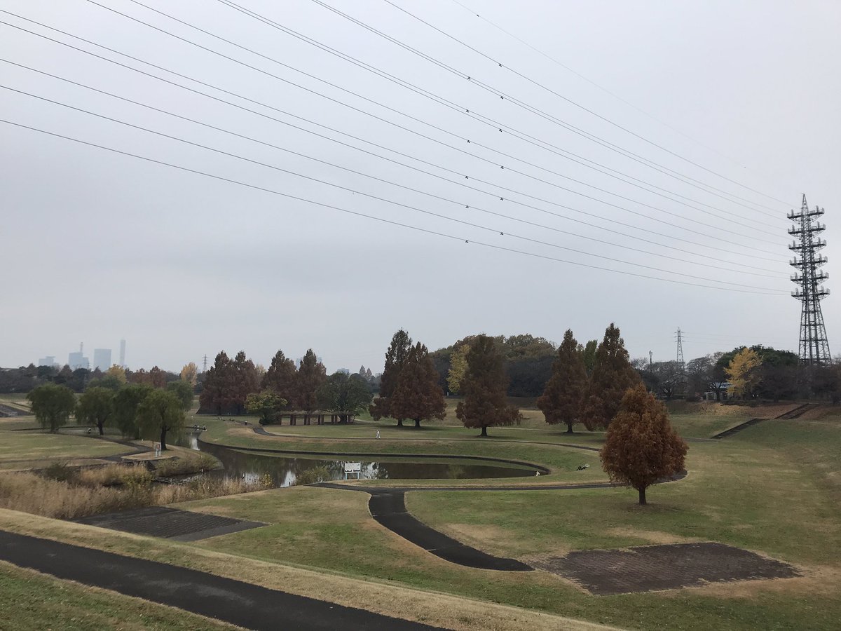 大宮第二 第三公園 公式 12月3日 木 朝から寒いです 公園にはほとんど人がいません 大宮第二公園