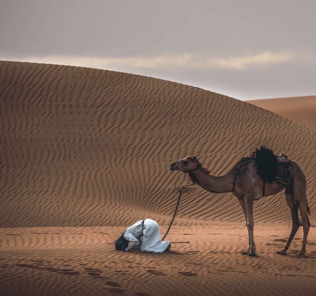 khaalid_g's tweet photo. .
.
.
#الحمد_لله
#يارب
#اللهم_ارحم
#اللهم_النصيب_الجميل

      ربي  .. لك الحمد  ياربي
              انت الذي مستحق  الحمد
      طالبك  يارب  في  ذنبي
              اللي خطأ كان واللي  عمد

#كسرات 
#بوح 
#خالد_العصلاني https://t.co/D01stKhdOZ