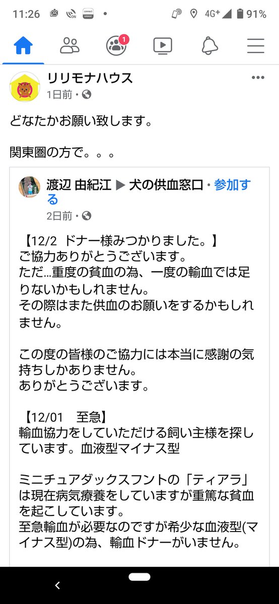 Melu Mama Mamamelu Twitter