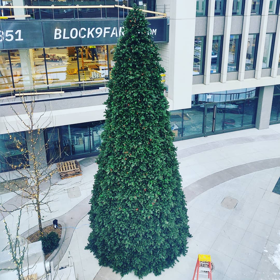 FargoParkAlec's tweet image. The Christmas tree at Fargo Broadway Square has been completed! Check out the lighting ceremony at 5pm tomorrow. 

#fargoaprks #ChristmasTree #holidaylights