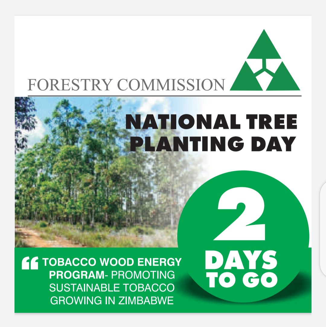 forestrycom1's tweet image. &quot;What we are doing to the forests of the world is but a mirror reflection of what we are doing to ourselves and to one another.”

― Chris Maser

#ntpd2020
#TreePlantingSeason
#everyonesresponsility