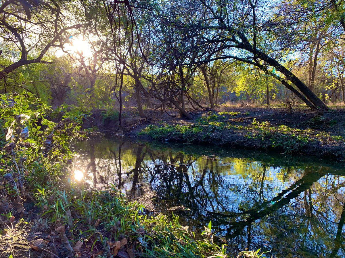 henry_lestrange's tweet photo. I went to the park today, and it was pretty nice. https://t.co/8yTNtlYF5z