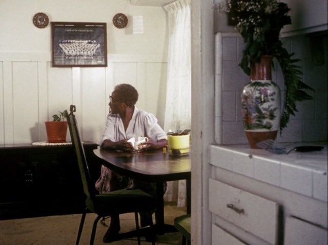 my brother’s wedding (1983) dir. charles burnett in this timeless film, burnett examines class consciousness in a way that’s familiar to us all: through a wedding.  http://www.criterionchannel.com/my-brother-s-wedding