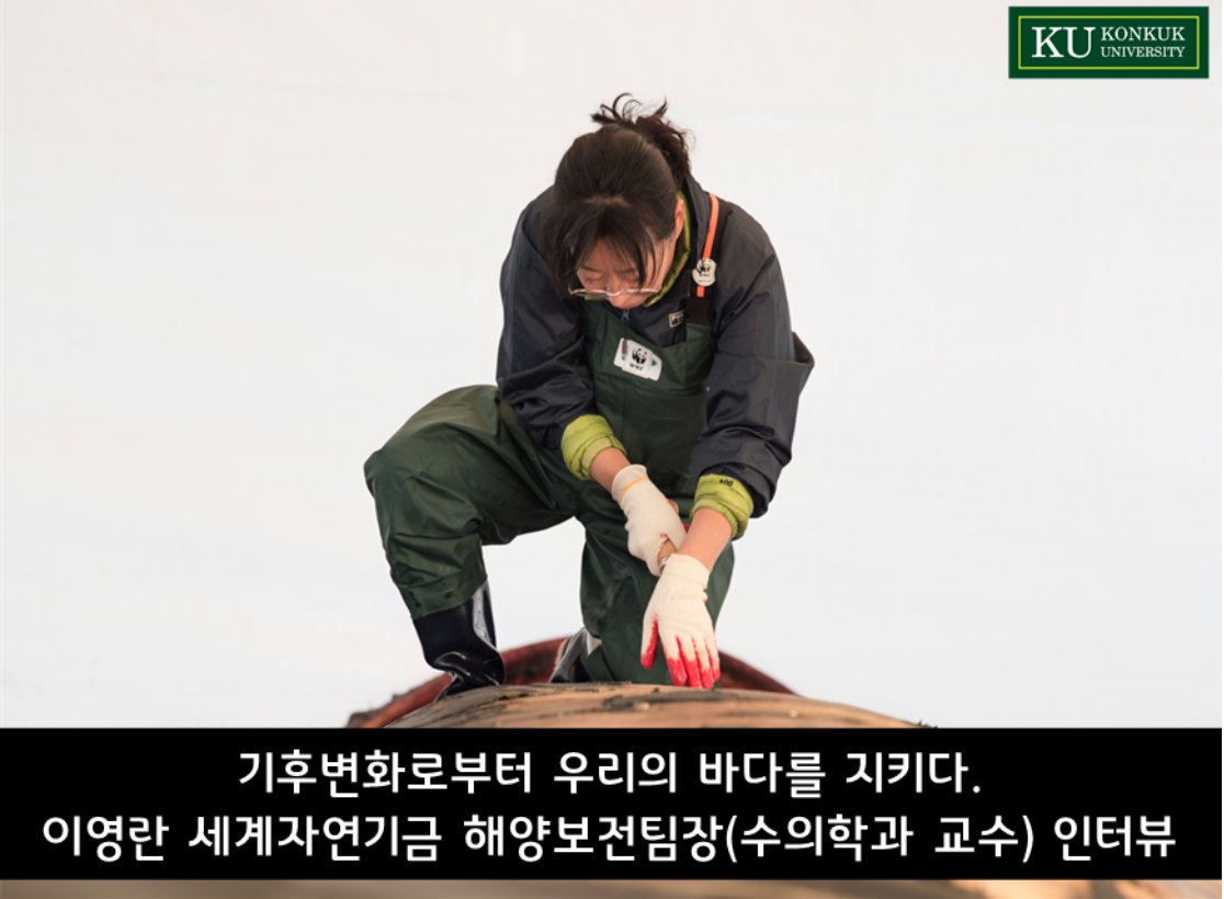 Claire_Simeone's tweet photo. Dr. Youngran Lee, Head of the Marine Conservation Team at @_WWFKorea_ talks about her work: necropsies on marine mammals, studying microplastics, &amp; advocating for sustainable fishing policies. A good friend &amp; colleague working hard to conserve our ocean. 
https://t.co/TwuQZkERdO https://t.co/RH5juCsc1x