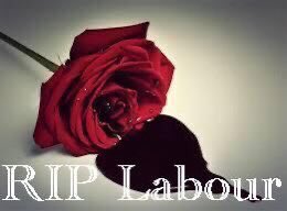 logansteven's tweet image. #Labstainers #CorbynWasRight