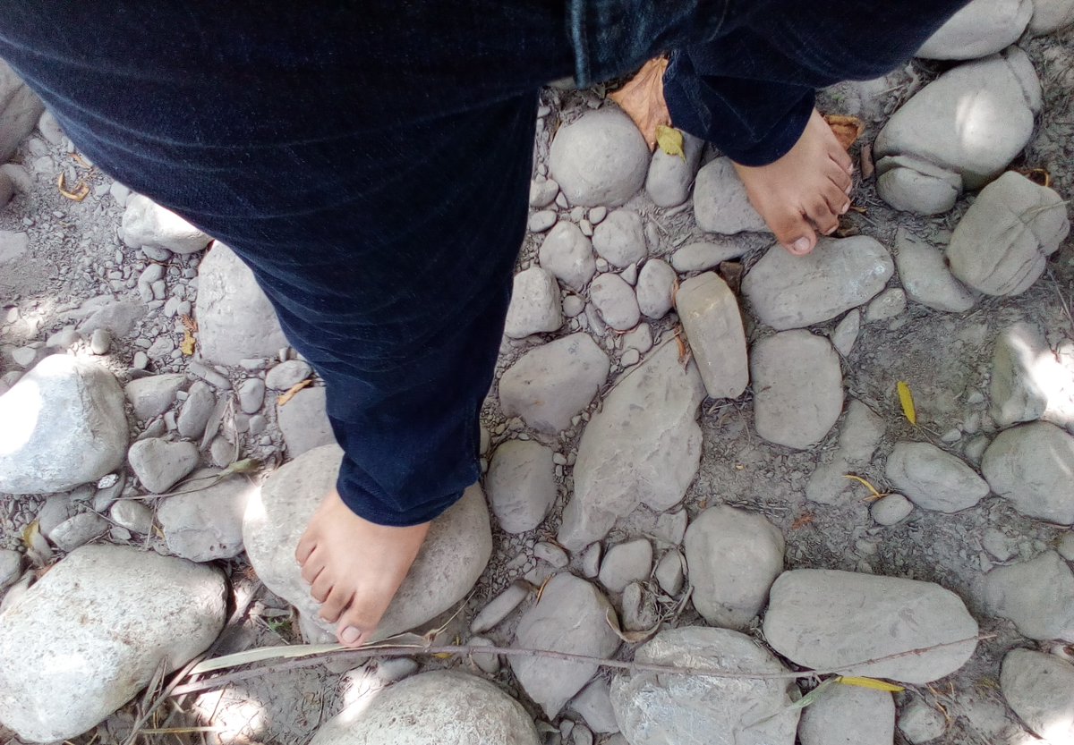 wolfoots's tweet photo. Walking in rocks

I have heard many people say that walking on stones is annoying and difficult, but I do it even barefoot and it is not complicated at all ... in fact and even come to enjoy it since sometimes it usually feels like a massage.

#barefoot #barefeet #feet #foot https://t.co/vUXVbhtMAk
