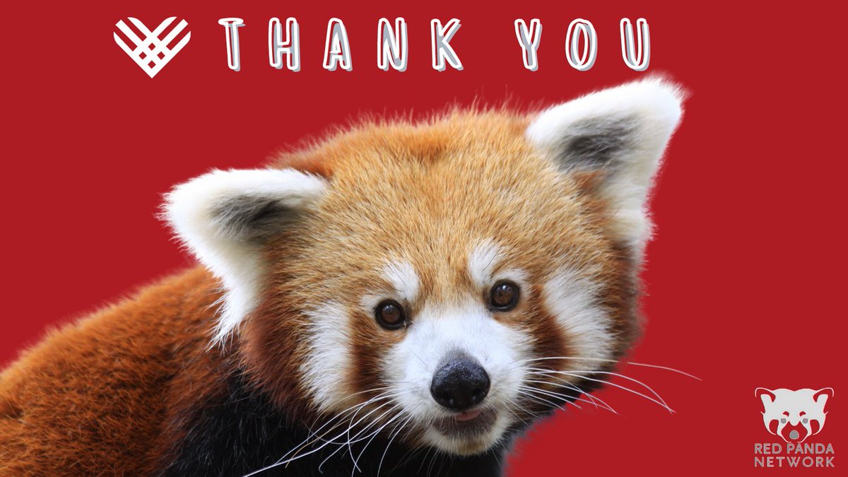 Yesterday 150 donors gave over $15,000 which is being matched x2 by our First Panda Challengers. 🙏 We are so grateful to be over halfway to our goal in support of Plant A Red Panda Home! bit.ly/Plant-A-Home
#GivingTuesday #GivingTuesday2020 #ThankYouWednesday