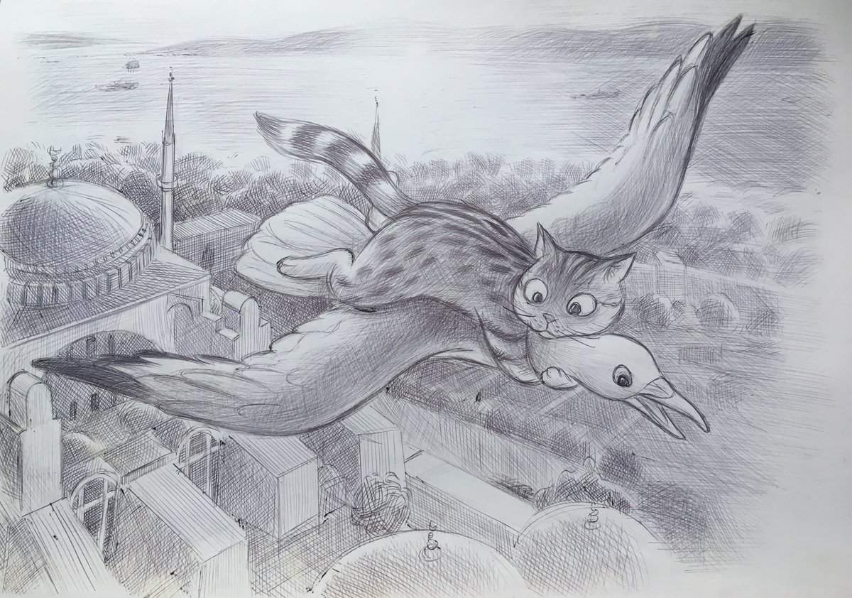Gli befriended a seagull and they traveled together over Istanbul. #HagiaSophia #hagiasophiacat #AyaGli #istanbul #illustration #childrensbookillustrators