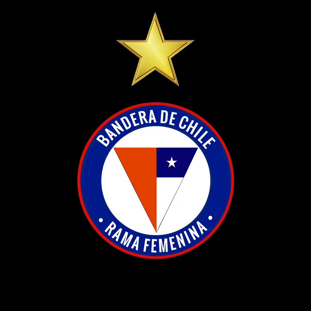 Bandera Fem tweet media