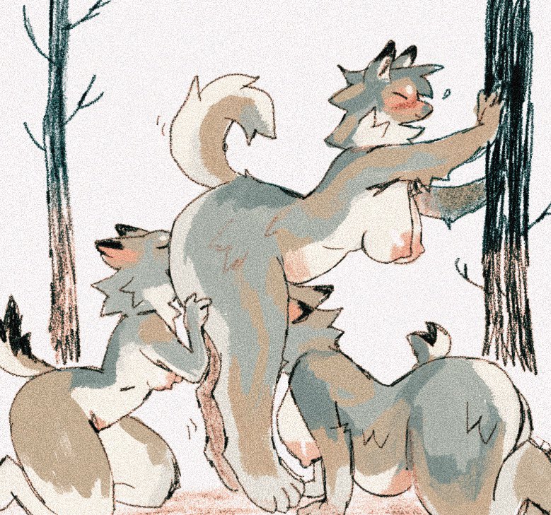 wolf gfs