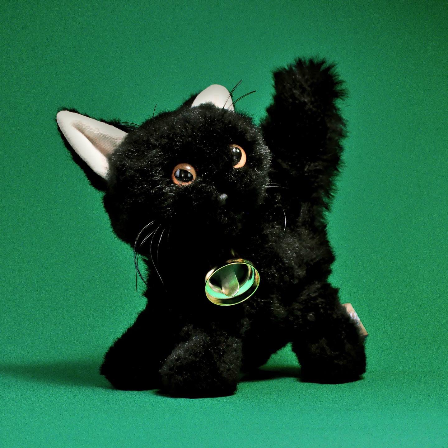 Meow Meow TREATS SHOP(ミャオトリ) on X: 