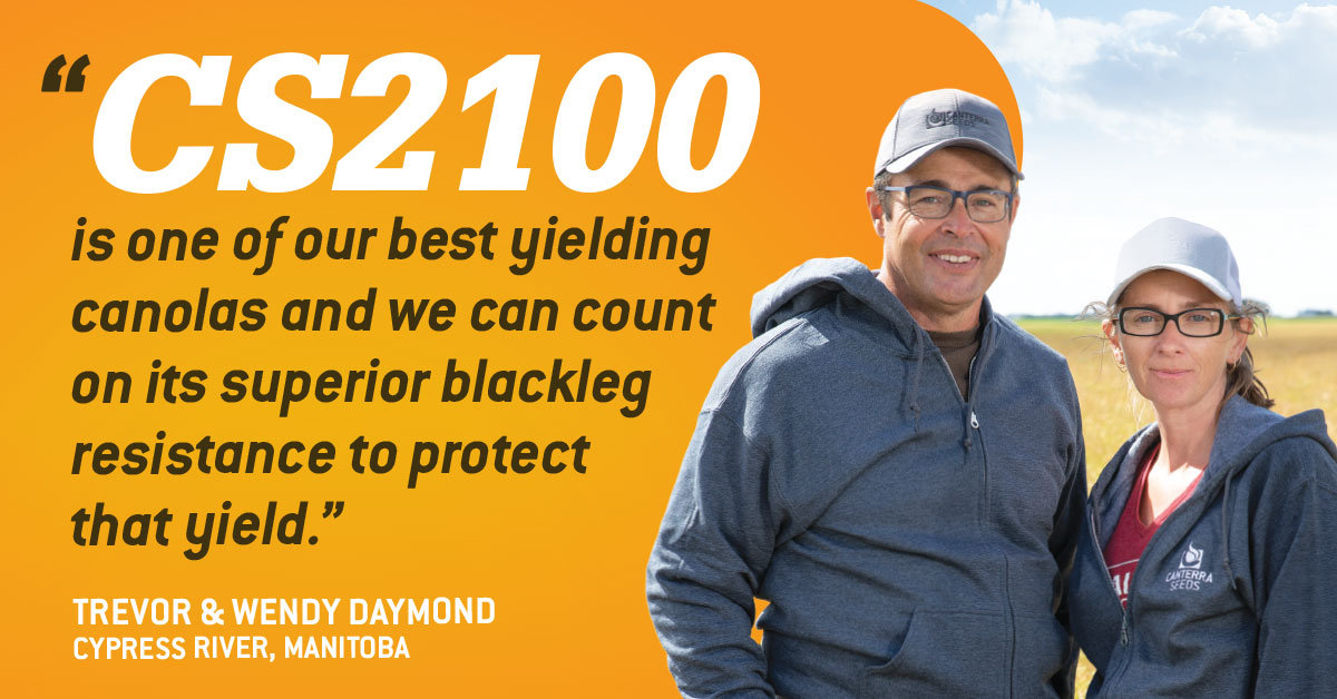 canterraseeds's tweet photo. Thanks for the review @trevor_daymond! CS2100 yields high with great Blackleg resistance. 
Check out local trial results for CS2100 on our website, like this trial from Killarney, MB.👉https://t.co/vLXp2QLGg8 #CANTERRATrialResults #BlackFridayDeals https://t.co/zl15hWeBC1