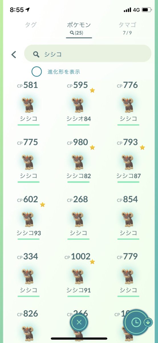 シシコ シシコ