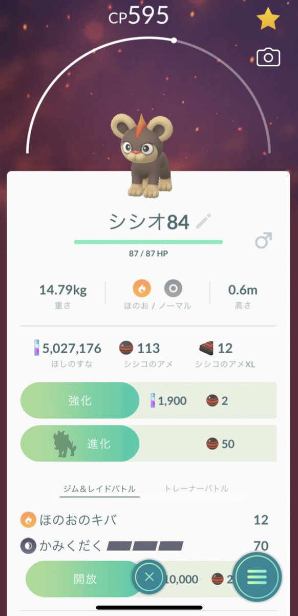 シシコ シシコ