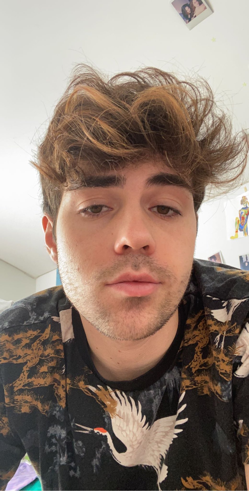 benji krol