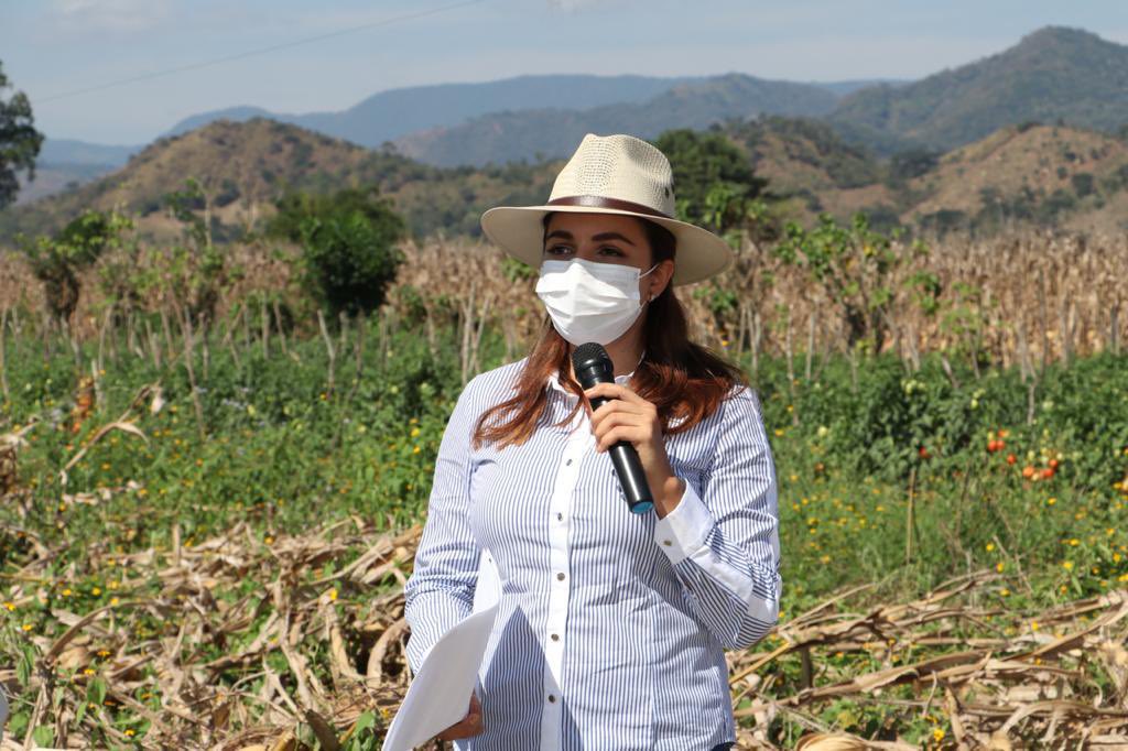 Secam_Oficial's tweet photo. Zaynia Andrea Gil Vázquez, titular de la #SAGyP, constató los resultados del proyecto “Siembra de Maíz de Conservación” en 100 hectáreas ubicadas en el municipio de #Villaflores, en coordinación con #INIFAP y #TNC.

¡Con el campo, #ChiapasEsMásFuerte!

👉 https://t.co/Kcz6BZCsow https://t.co/fmAcYg4hCS