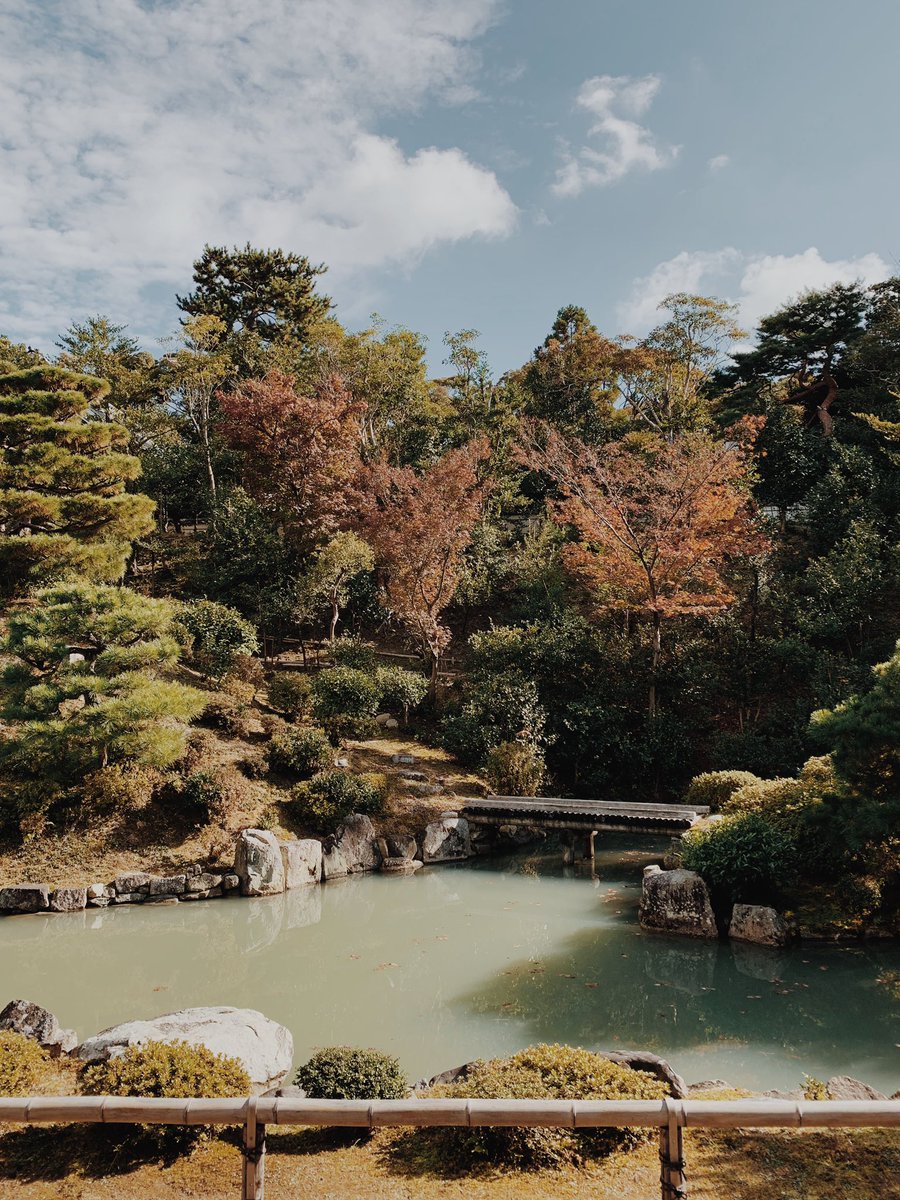 arfbdman's tweet photo. Kyoto’s gardens at their finest https://t.co/TiGH90OCRt