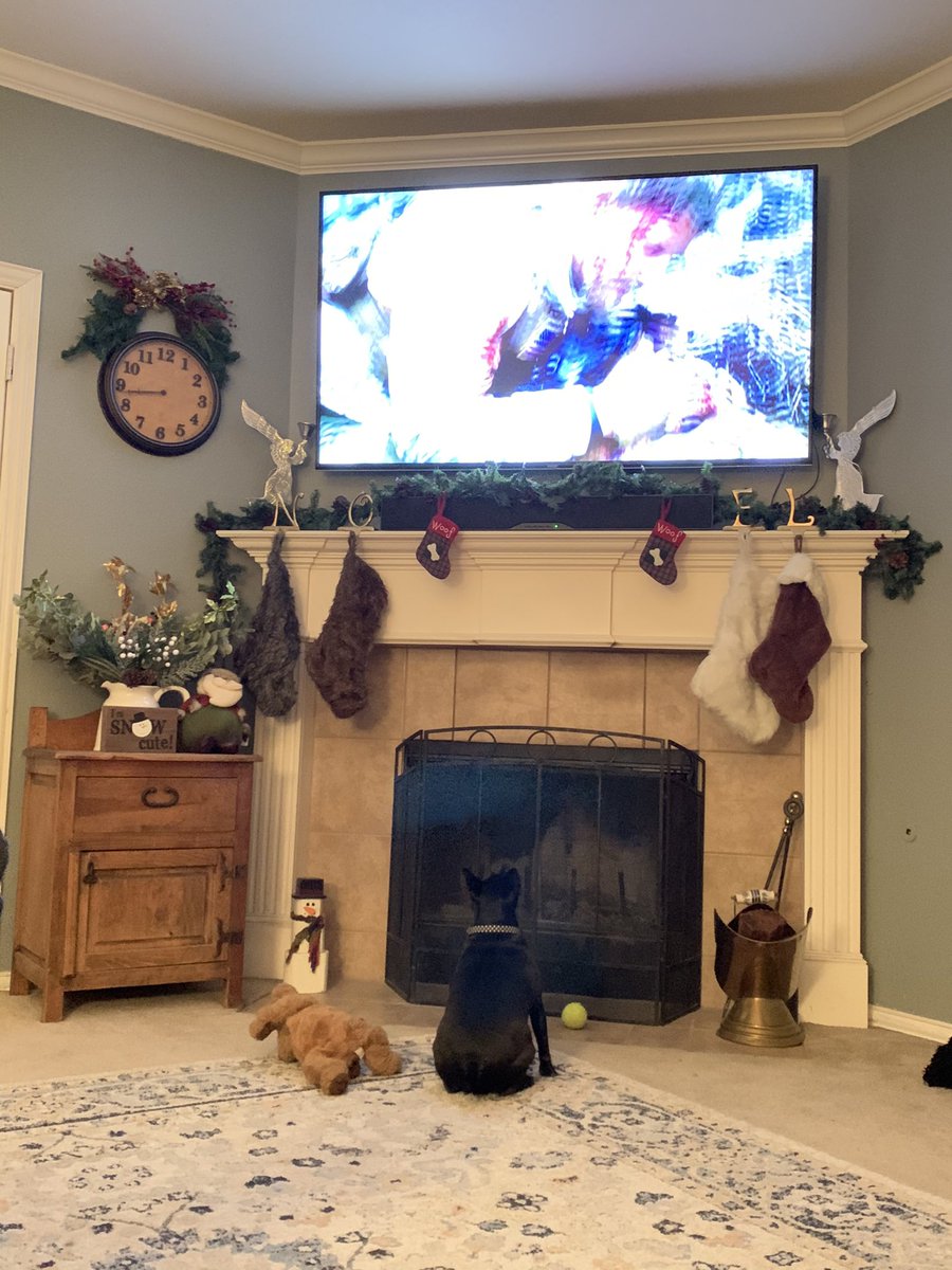 olbelew1's tweet photo. Our dog Sadie Presley is LOVING the show Seal Team! #SEALTeam @David_Boreanaz https://t.co/szC2LSQkeO