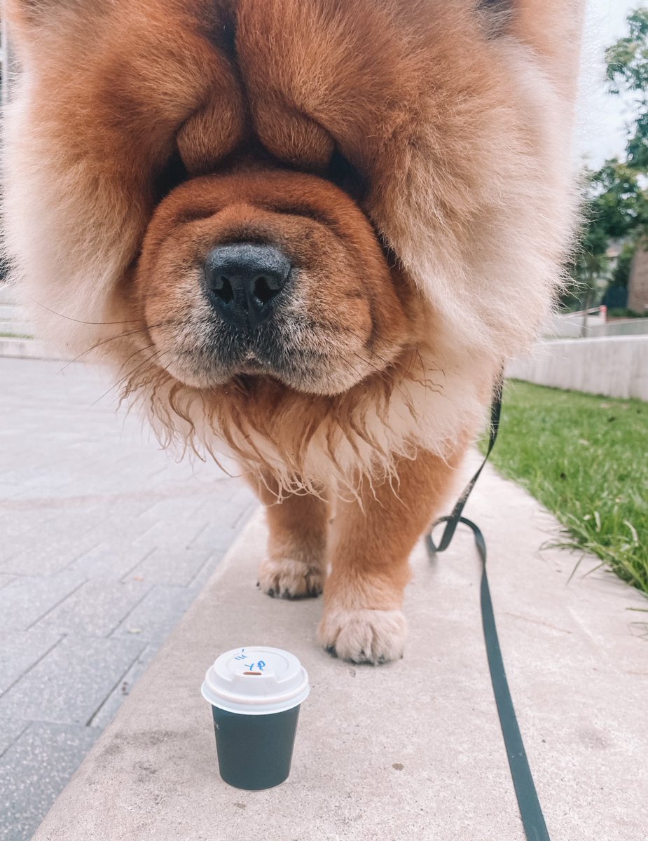 Happy Thursday! Time to get back to the office... aka snooze time 😏