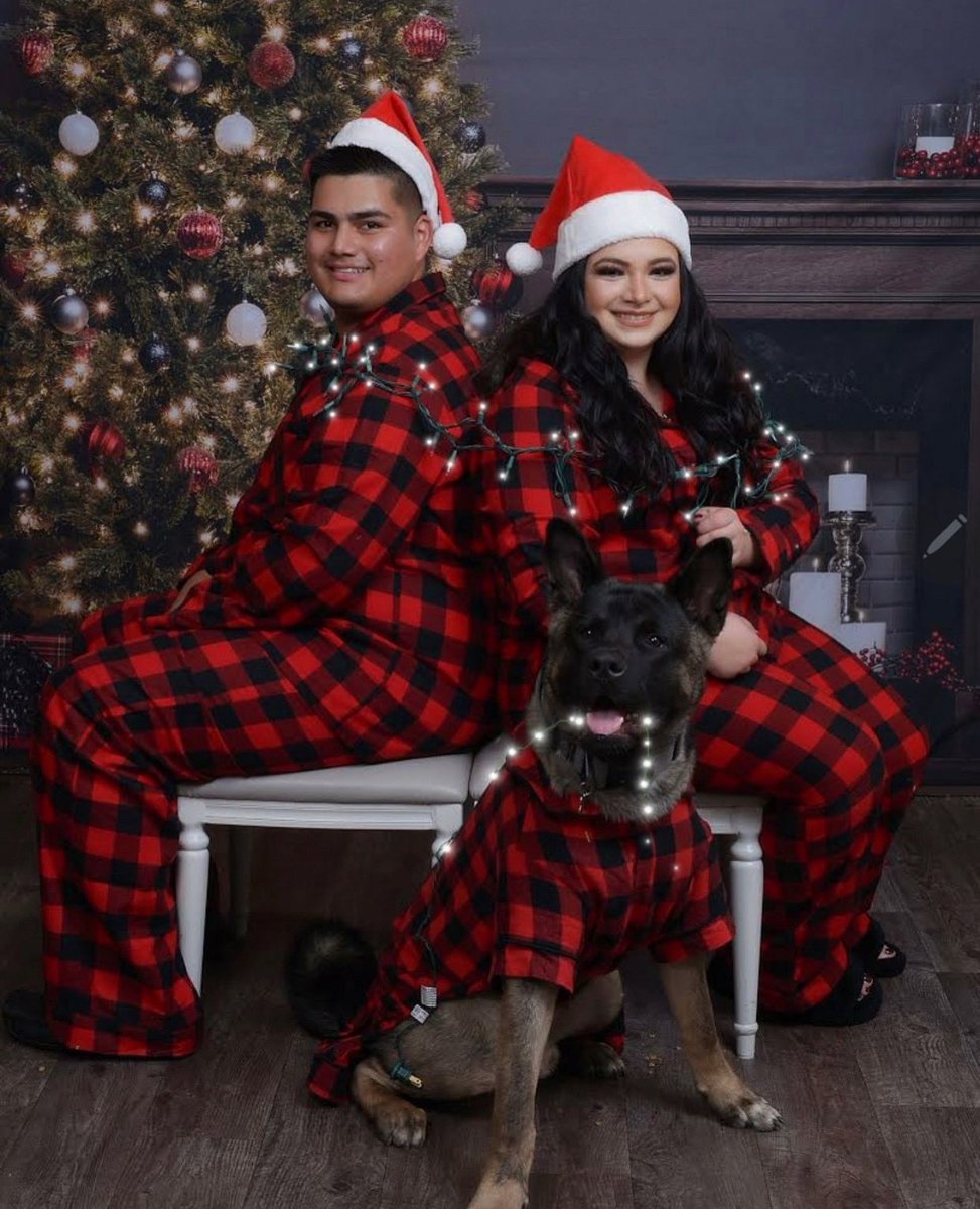 gbellaxo's tweet photo. Tell me this isn’t the cutest thing you’ve ever seen 🥰 (click for surprise) https://t.co/5ukgW2iFET