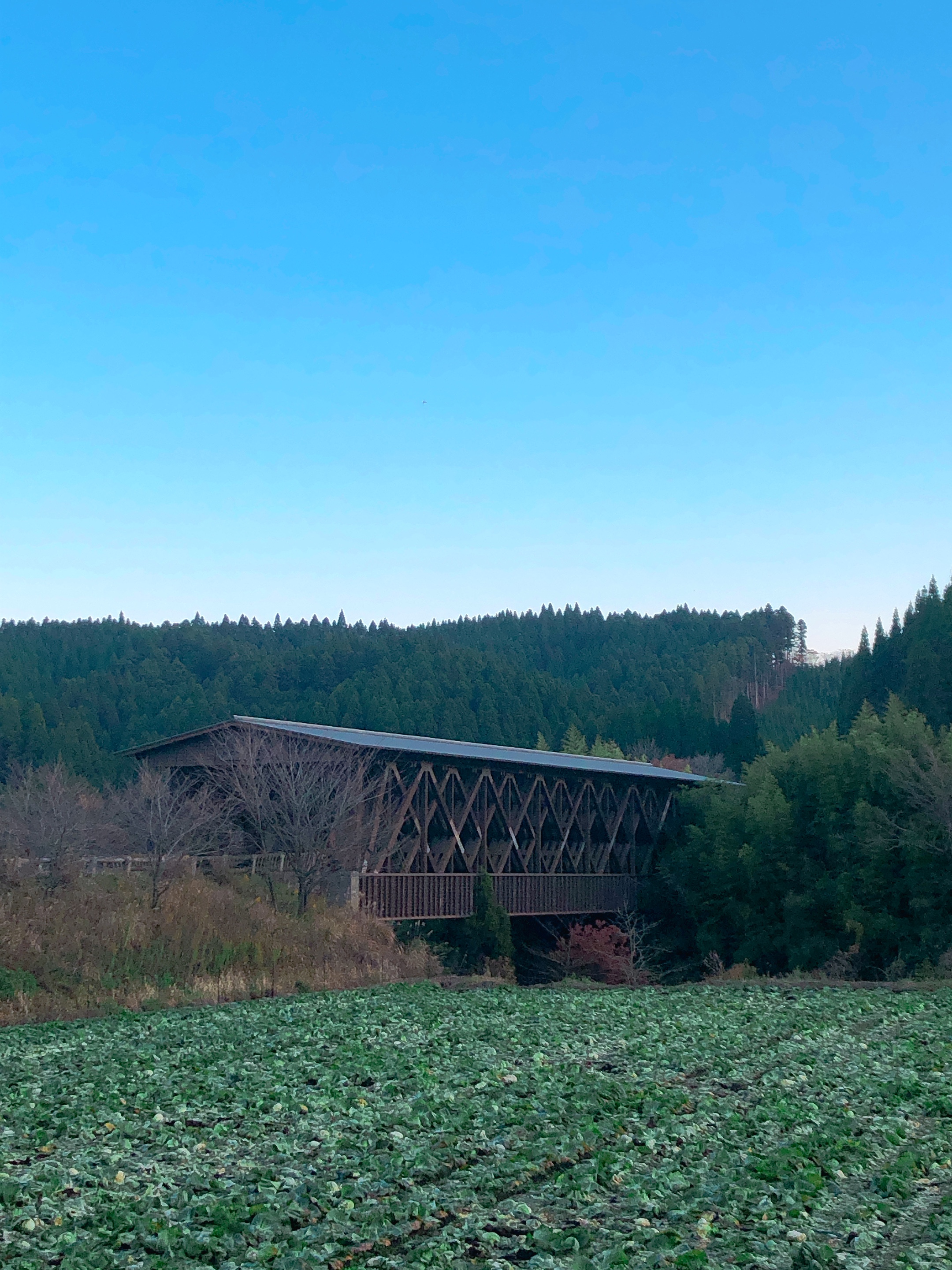 Retoro Mode Twitter Search Twitter