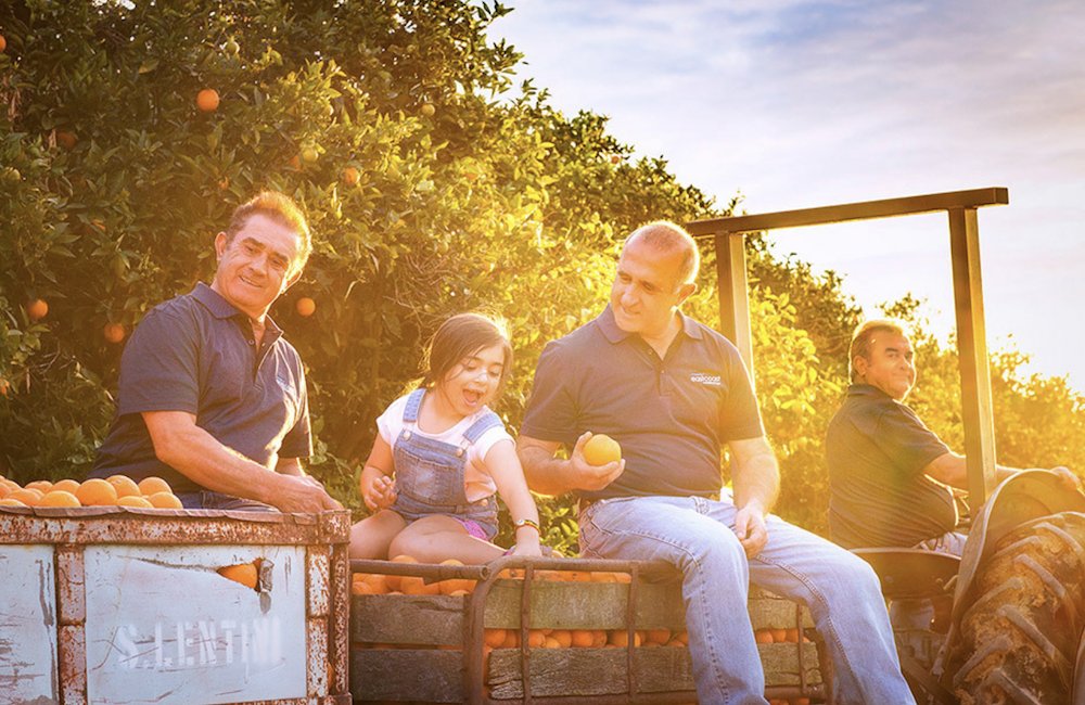 NSW Farmers tweet media