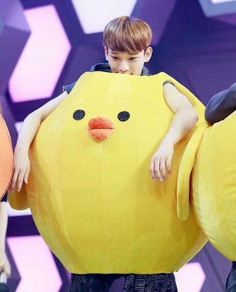 jongdaethinker's tweet image. duck.... Duck