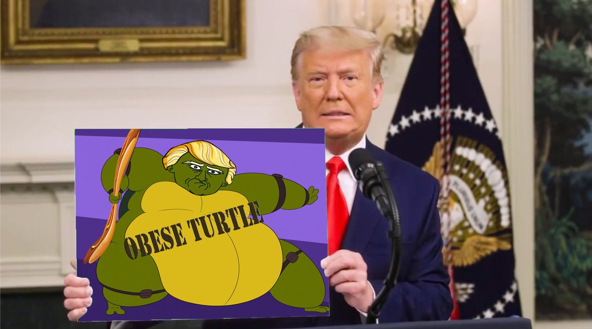 Earthling45's tweet photo. @AndrewSolender #obeseturtle https://t.co/RhhfyZDN3g