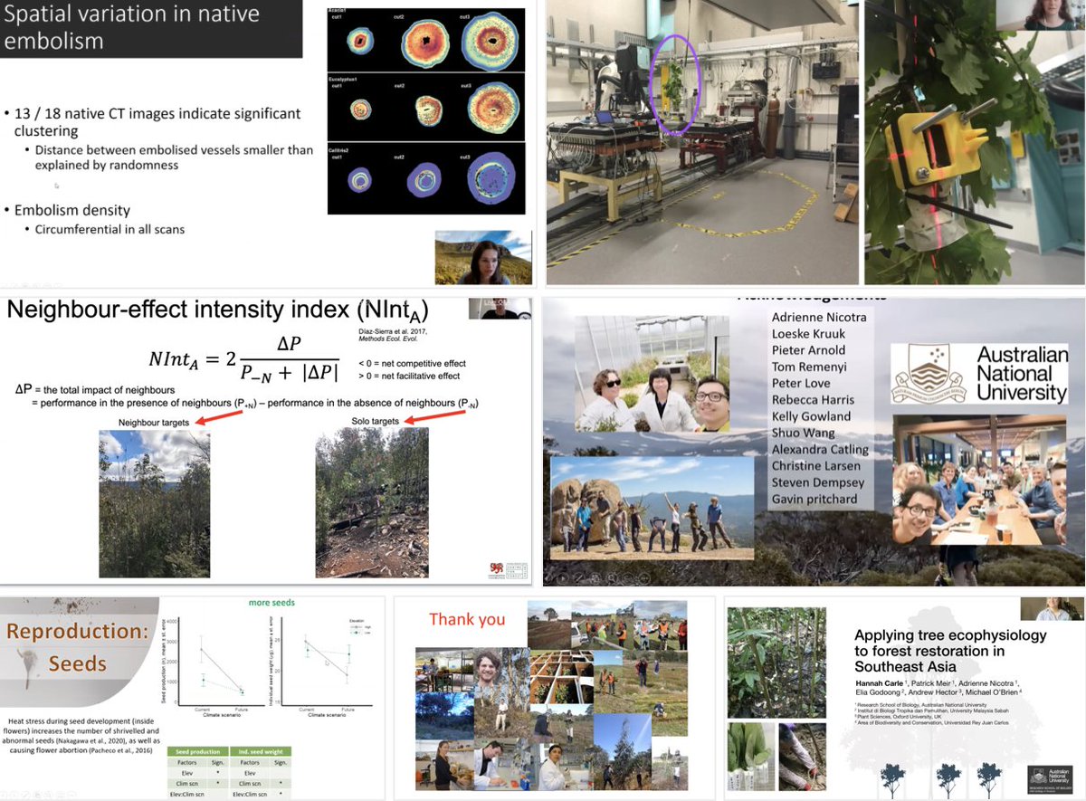 Best of #ESAus20: as the conference presentations draw to a close, I've curated a list of favourite talks, including links to people's work, Twitter profiles and pretty pictures. 
Thanks everyone for sharing your work and ideas 🥳rockdocpress.wordpress.com/2020/12/03/bes… #PhDVoice #AcademicTwitter