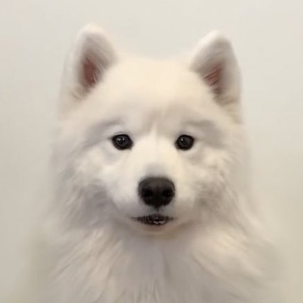 อั้ยม๋าจ๋อง  ᵒ̴̶̷̥ ·̫ ᵒ̴̶̷̣