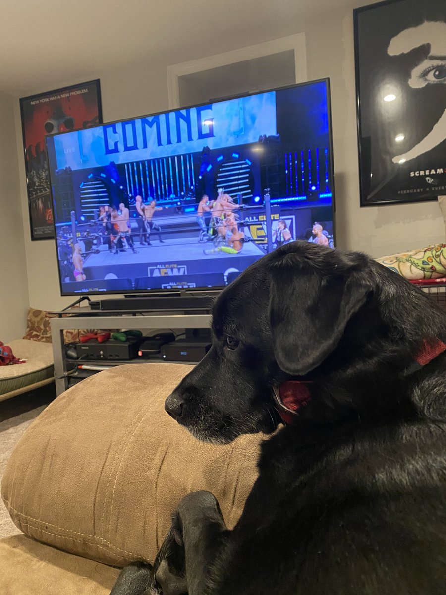 AllNightLongWP's tweet photo. #WinterIsHere #HunterIsHere #AEW #AEWDynamite https://t.co/GAdBo0ApLz