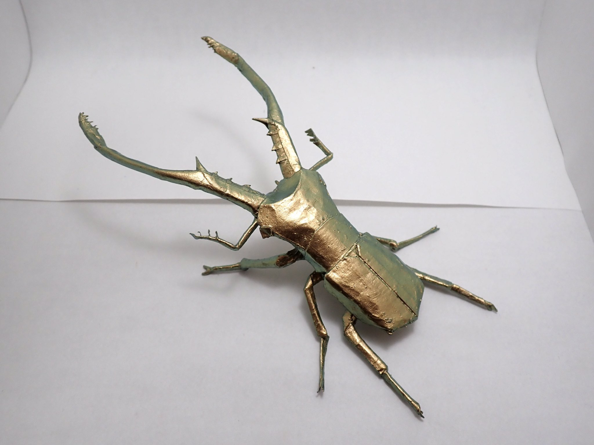 95mm up❗️メタリフェルホソアカクワガタ 未展足個体 オプション選択可商品】＜定番＞メタリフェルホソアカクワガタ