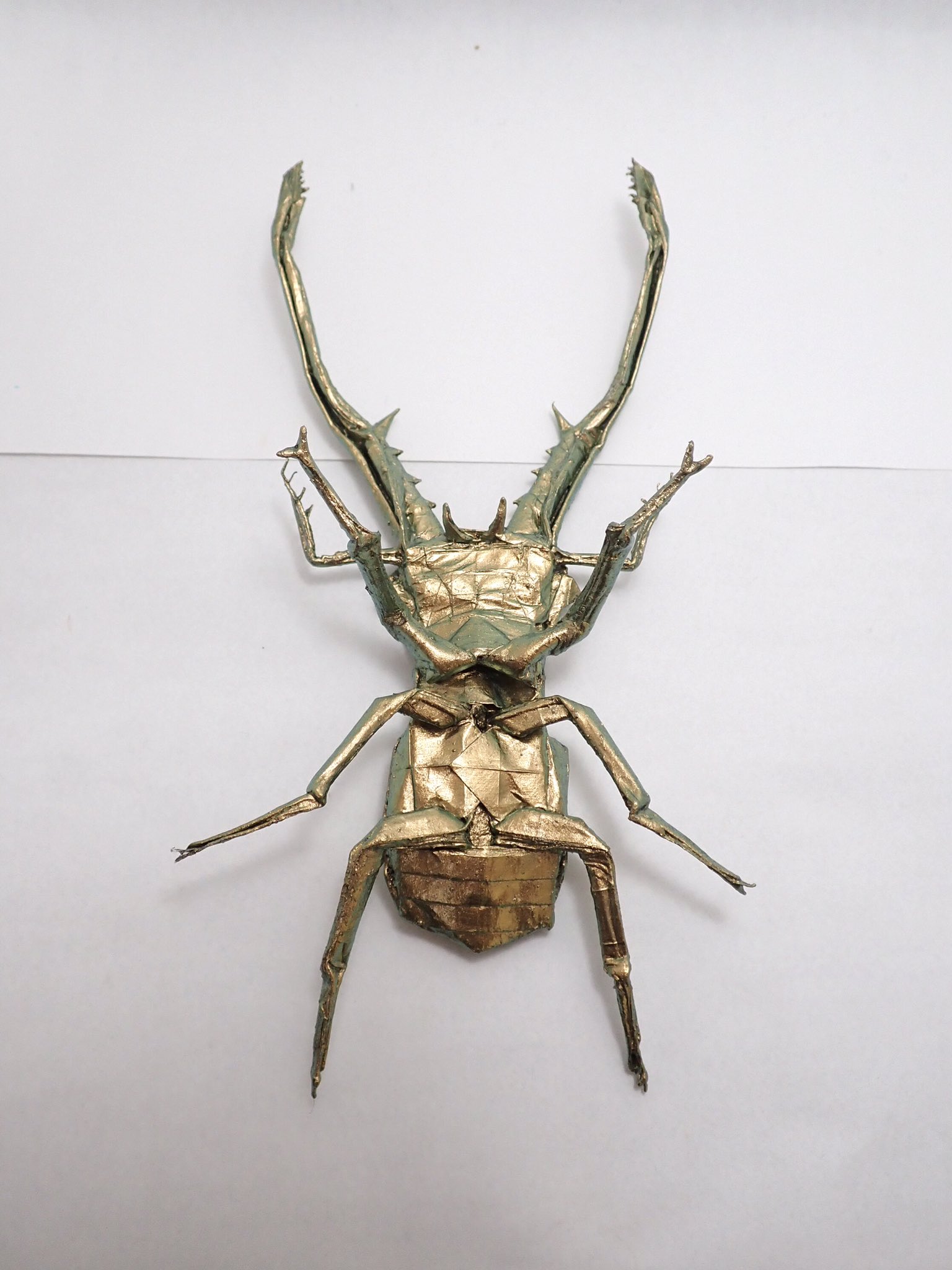 95mm up❗️メタリフェルホソアカクワガタ 未展足個体 95mm up❗️メタリフェルホソアカクワガタ 未展足個体 - メルカリ
