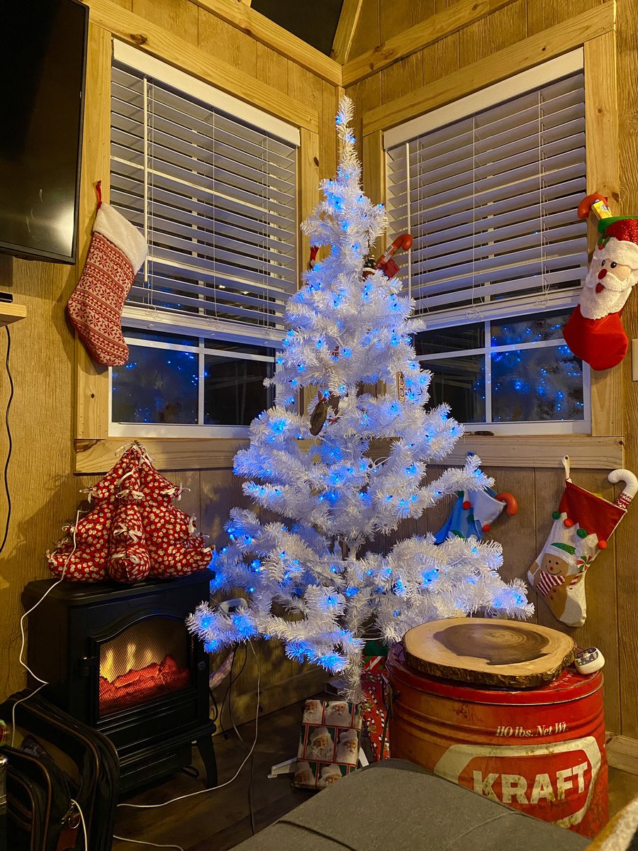 JacksonPaulBaer's tweet photo. New tree up. A very Baery Christmas to you 🌲 ❄️ 🎅 🎁 #holidays #xmas #christmastree #family @Kirsta_Rae https://t.co/3UzADxUHyr