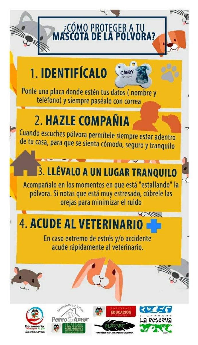 Furanic_Col's tweet photo. #PorqueMiMascotaEsParteDeMiFamilia
#CotaCeroPolvora #contraelmaltratoanimalcota https://t.co/eJyYJ9QuRY