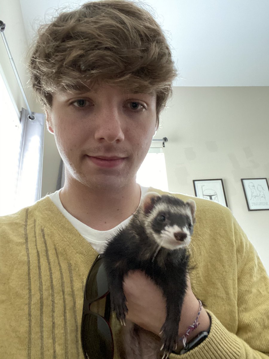 karl jacobs as squishmallows! a thread (safe /srs)  @honkkarl