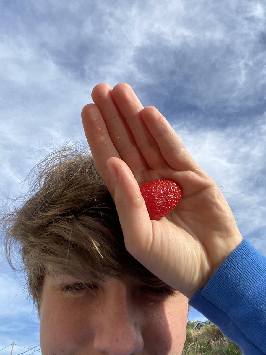 karl jacobs as squishmallows! a thread (safe /srs)  @honkkarl