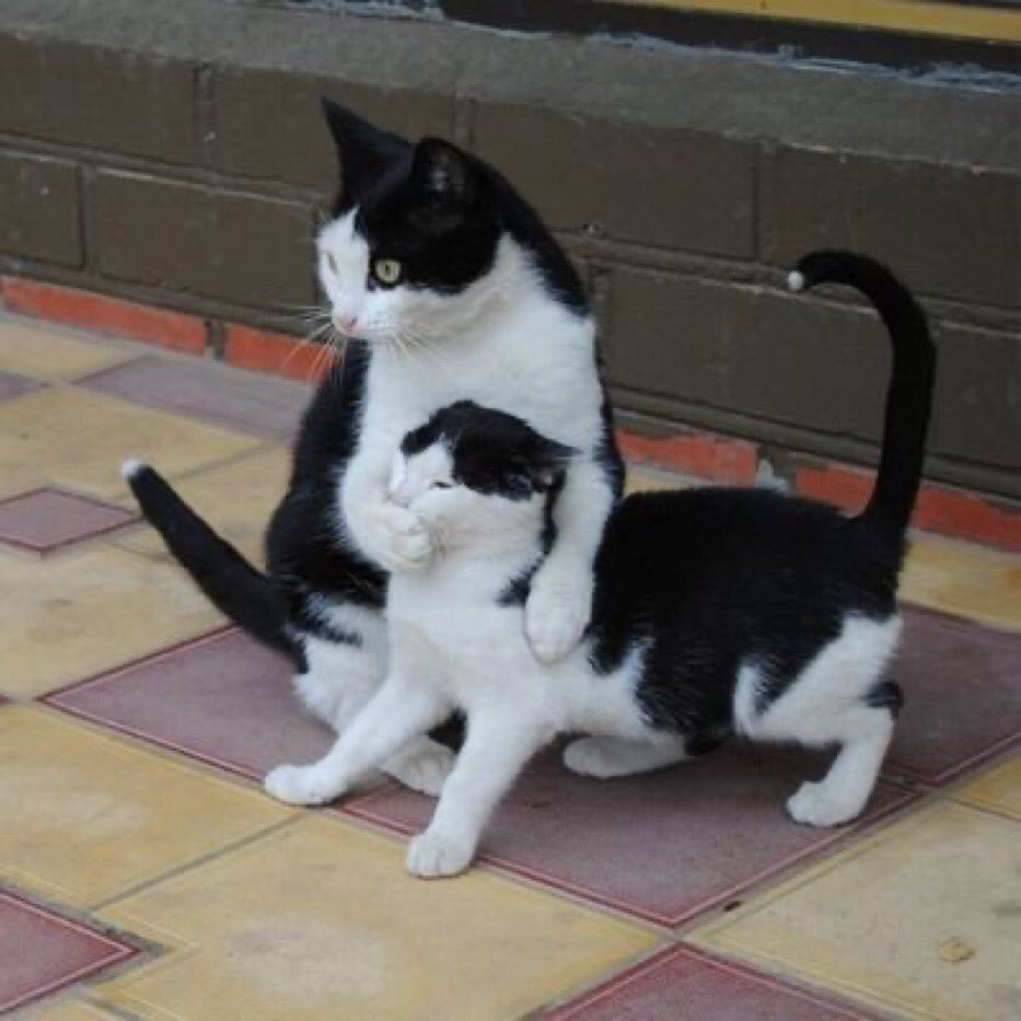 Стихи о дочери. Тише доча. Тихая с дочкой. Любимая дочь. Стихи для детей.