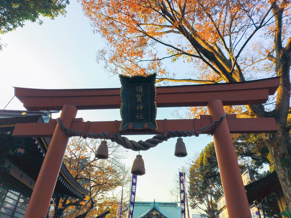 c2_kitchen's tweet photo. カバンにしのばせておいて、、ふとした瞬間に遊ぶ。#canon  #inspicrec #写真好きな人と繋がりたい https://t.co/YdJYbx68Y0