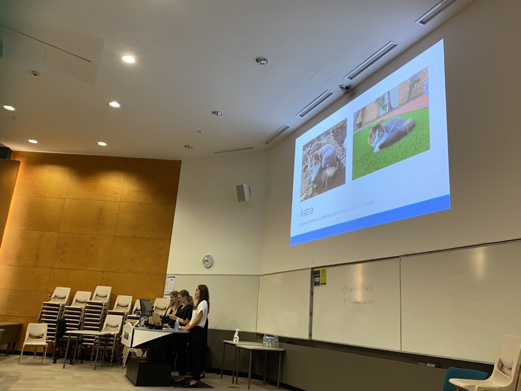 occt3003's tweet photo. #alliedhealthhons2020 students @CurtinOTSWSP - Evaluating the effect of a live in cat “Astra” 🐈 in a mental health ward on staff and patients @Purplegrib https://t.co/jGqPRW5Mu5