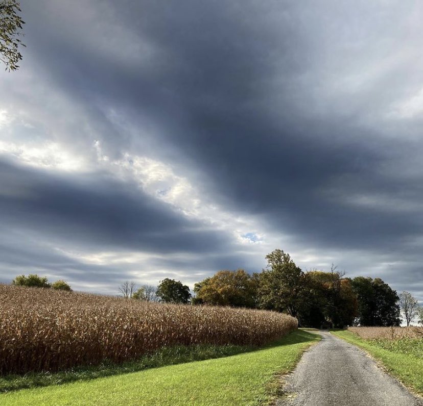 Mobilize Frederick tweet media