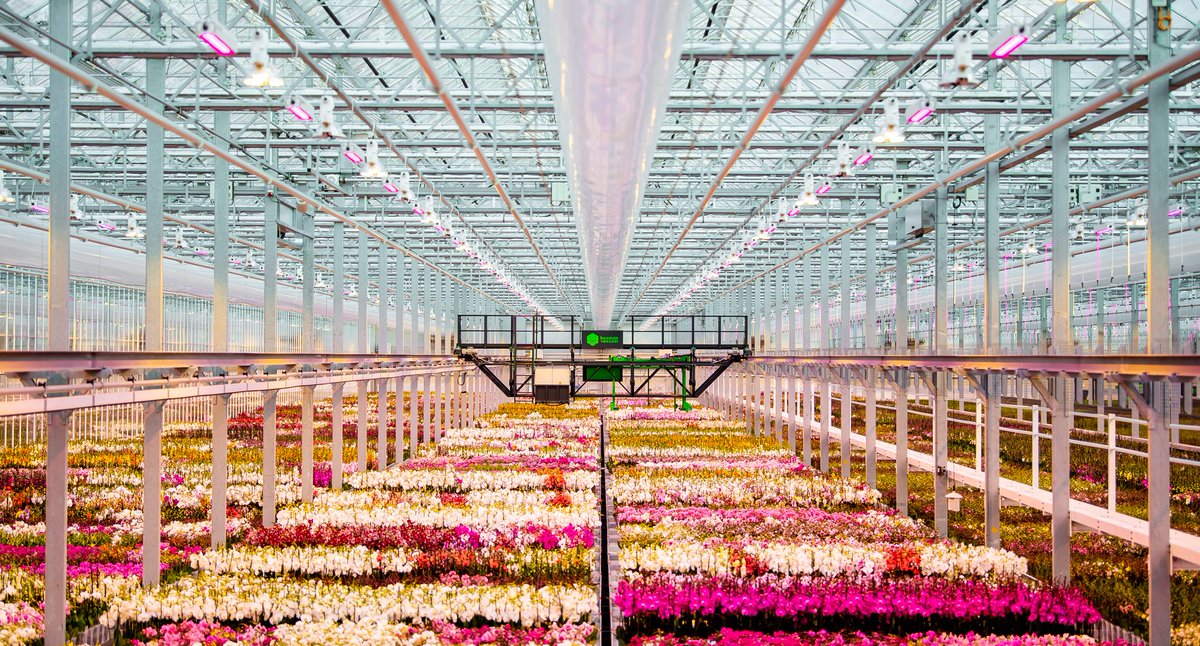 Ben jij helemaal thuis in het opzetten, beheren en uitbouwen van applicaties? En is het voor jou peanuts om deze te koppelen aan onze bedrijfsprocessen? Dan zijn wij op zoek naar jou! Bekijk onze vacature applicatiebeheerder (fulltime): vacature.store/vacature/ter-l…