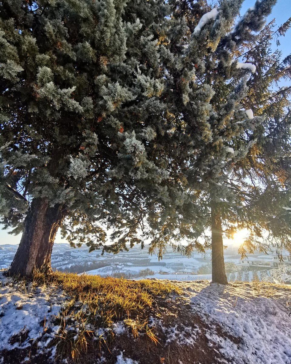 FratelliAimasso's tweet photo. Possiamo almeno godere di splendidi paesaggi ๐ #instalanghetti #langhe #unesco #nofilter #wine #snow #cool #dianodalba #dolcetto #ig_cuneo #ig_piemonte #volgocuneo #volgopiemonte #neve #paesaggio #landscapephotography #landscape https://t.co/uao92TAtqR
