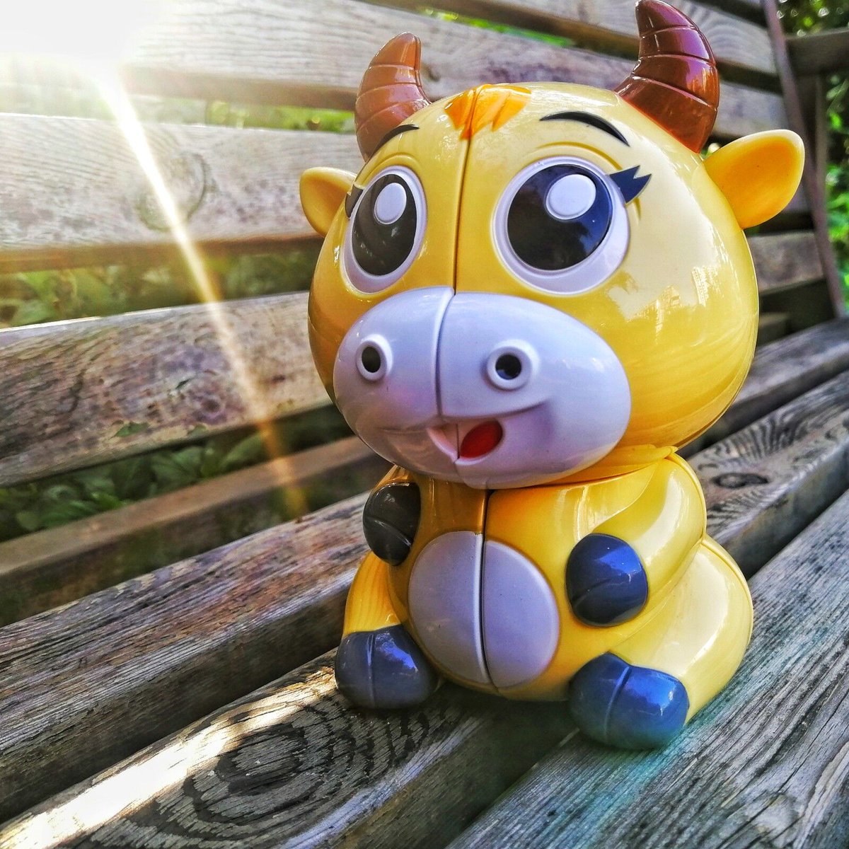 YUXIN_9960's tweet photo. If you have a Yuxin cow cube,would you take it to travel ?
#yuxincube #yuxin #yuxincube #speedcube #rubikcubes
#funwithcube #playwithcube #educationaltool #professionalcube https://t.co/Dr13Q4DrV0